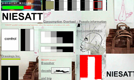NIESATT parallel worlds 03/04